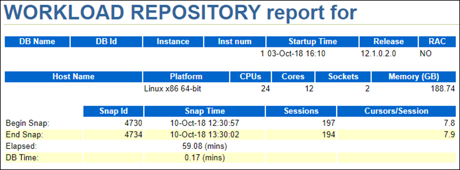 Workload Repository report