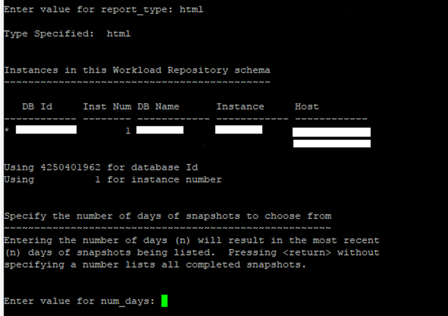 AWR Report Format